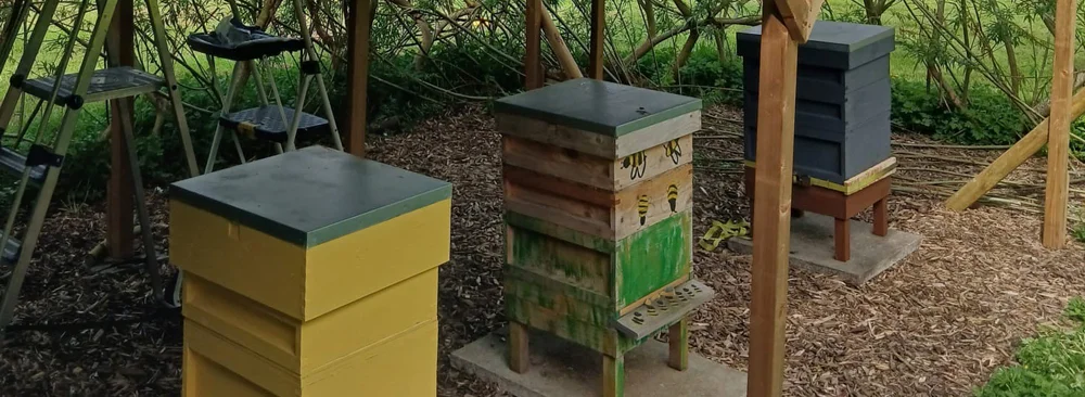 Beehive Shelter Canopy Project Kirkland and Catterall CofE Primary School